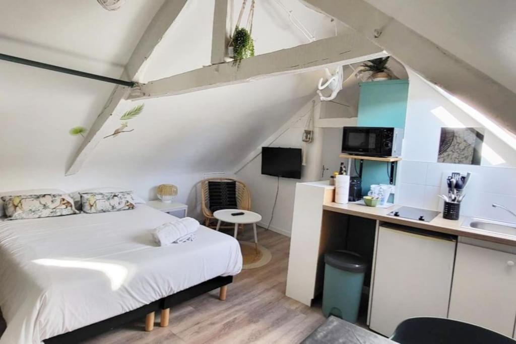 La Cabane - Petit Studio Mansarde - Plage 50M - Rue Gratuite Saint-Malo Esterno foto