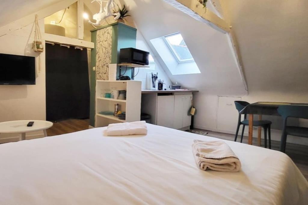 La Cabane - Petit Studio Mansarde - Plage 50M - Rue Gratuite Saint-Malo Esterno foto